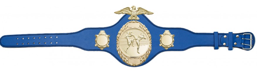 THAI BOXING CHAMPIONSHIP BELT-PLT288/G/TBOG-4 COLOURS THAI BOXING CHAMPIONSHIP BELT-PLT288/G/TBOG-4 COLOURS